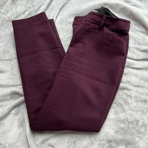 Maroon business pant